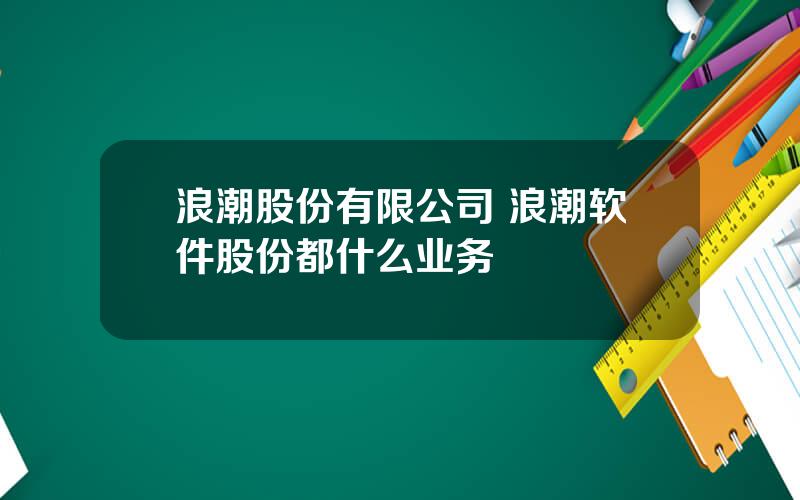 浪潮股份有限公司 浪潮软件股份都什么业务